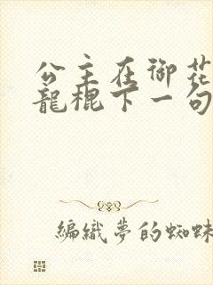 公主在御花园吃龙棍下一句封面