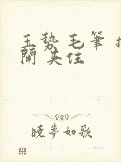 玉势 毛笔 撑开 夹住