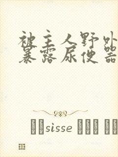 被主人野外调教暴露尿便器