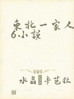 东北一家人1一6小说