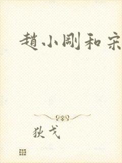 赵小刚和宋雨晴