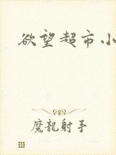 欲望超市小说