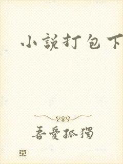 小说打包下载封面