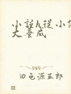 小说h从小做到大养成封面