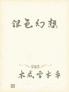 银色幻想