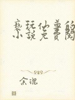 亵玩仙尊的道侣小说免费阅读