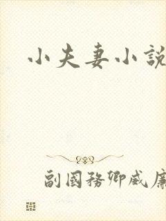 小夫妻小说封面