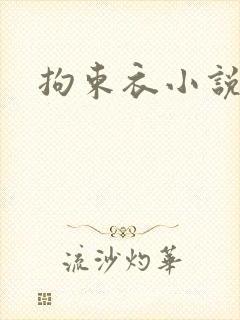 拘束衣小说封面