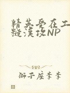 精英受在工地被糙汉攻NP封面
