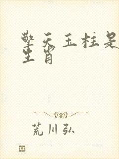 擎天玉柱是什么生肖