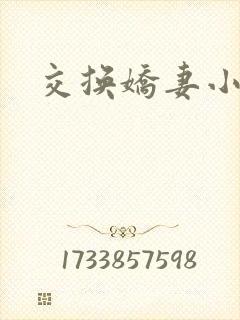 交换娇妻小说封面