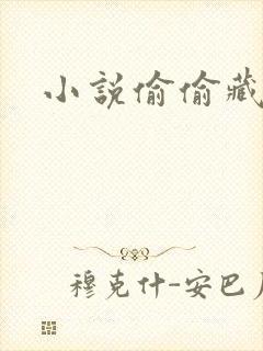 小说偷偷藏不住