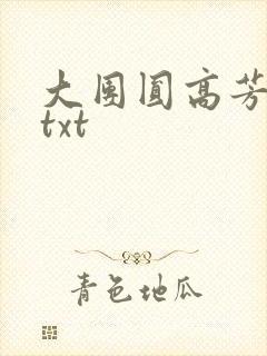 大团圆高芳小说txt