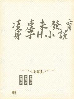 凌虐未发育的小身子H小说