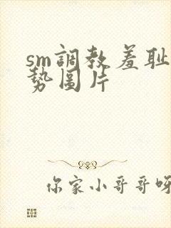 sm调教羞耻姿势图片