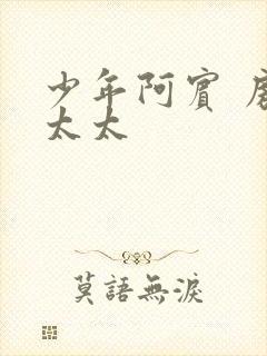 少年阿宾 房东太太封面