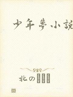 少年梦小说
