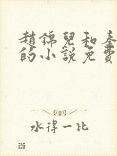 赵锦儿和秦慕修的小说免费阅读全文