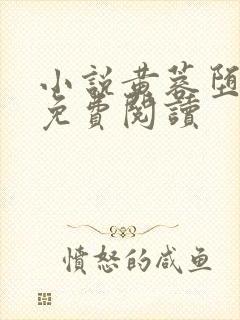 小说黄蓉堕落记免费阅读