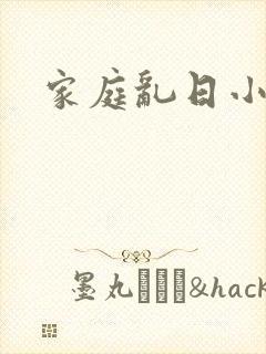 家庭乱日小说封面
