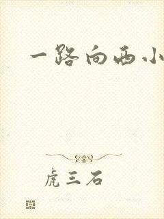一路向西小说