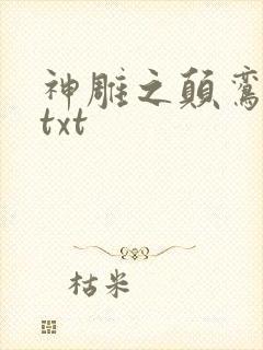 神雕之颠鸾倒凤txt