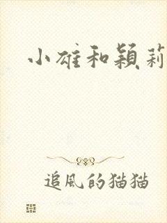 小雄和颖莉封面