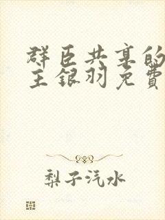 群臣共享的小公主银羽免费阅读封面