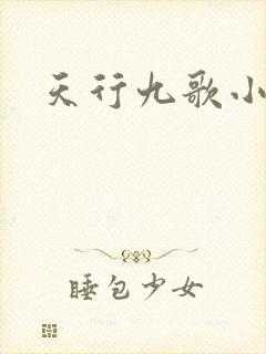 天行九歌小说封面