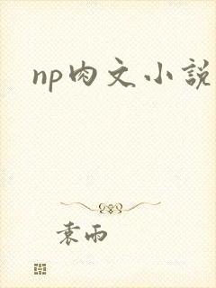 np肉文小说
