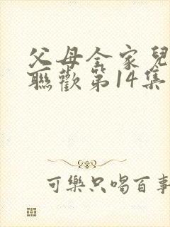 父母全家儿女大联欢第14集封面