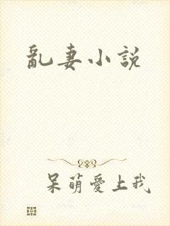 乱妻小说