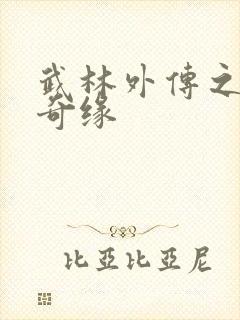 武林外传之同福奇缘