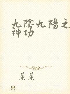 九阴九阳之阴阳神功封面