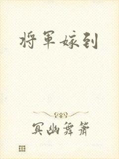 将军嫁到