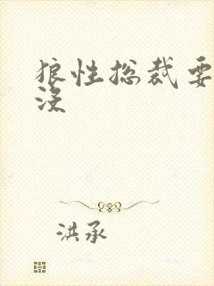 狼性总裁要够了没