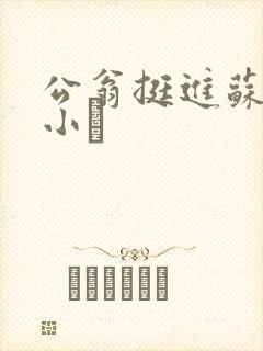 公翁挺进苏玥的小泬