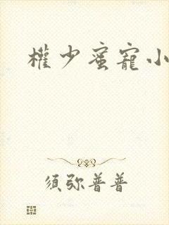 权少蜜宠小娇妻