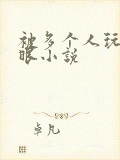 被多个人玩屁股眼小说封面