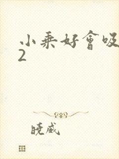 小乘好会吸1V2封面