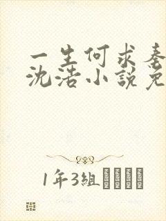 一生何求秦菲雪沈浩小说免费阅读全文封面