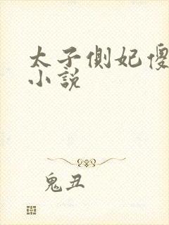 太子侧妃傻乎乎小说