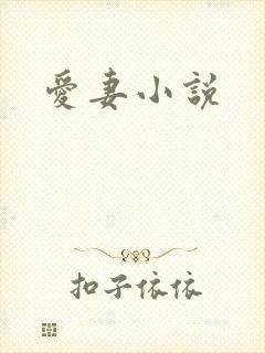 爱妻小说