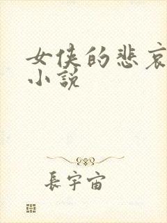 女侠的悲哀续集小说封面