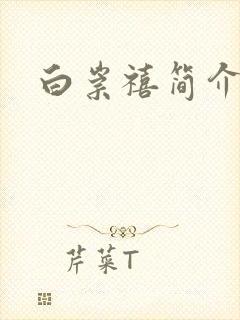 白崇禧简介封面