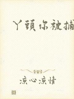 丫头你被捕了封面