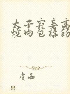 太子宠妾高肉红烧肉包讲的什么