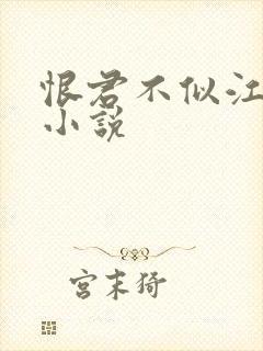 恨君不似江楼月小说