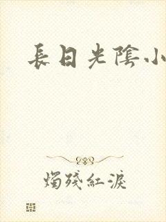 长日光阴小说