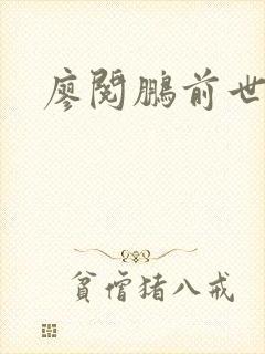 廖阅鹏前世今生封面